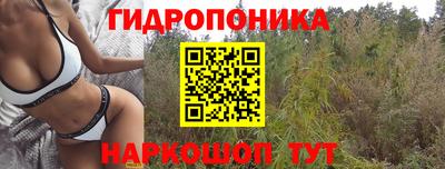 кокаин колумбия Пугачёв